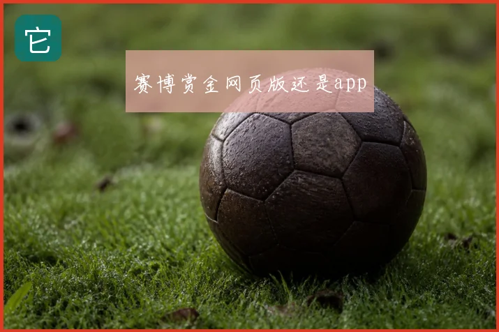 赛博赏金网页版还是app